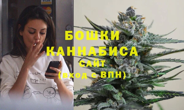 соль ск Рославль