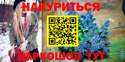 шишки Будённовск