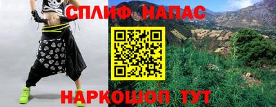 шишки Будённовск