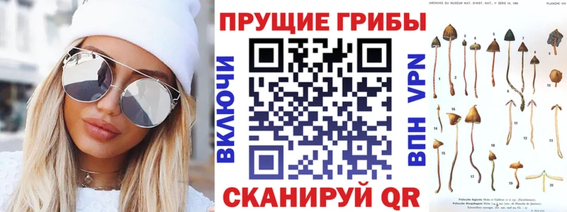 mega ONION  Всеволожск  Псилоцибиновые грибы мухоморы 
